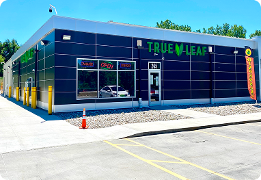 cannabis dispensary Lawrence MI, weed shop Lawrence MI, marijuana store Lawrence MI, dispensary near Lawrence MI, weed near Lawrence MI, recreational cannabis Lawrence MI, medical marijuana Lawrence MI, legal weed Lawrence Michigan, CBD store Lawrence MI, THC gummies Lawrence MI, vape pens Lawrence MI, edibles Lawrence MI, pre-rolls Lawrence MI, cannabis flower Lawrence MI, weed cartridges Lawrence MI, top dispensary Lawrence MI, weed delivery Lawrence MI, dispensary open Lawrence MI, marijuana near 49064, True Leaf Dispensary Lawrence, best dispensary Lawrence MI, dispensary near Paw Paw MI, cannabis near Hartford MI, weed shop near Bangor MI, dispensary near me Lawrence MI, cannabis dispensary Sturgis MI, weed shop Sturgis MI, marijuana store Sturgis MI, dispensary near Sturgis MI, weed near Sturgis MI, recreational cannabis Sturgis MI, medical marijuana Sturgis MI, legal weed Sturgis Michigan, CBD store Sturgis MI, THC gummies Sturgis MI, vape pens Sturgis MI, edibles Sturgis MI, pre-rolls Sturgis MI, cannabis flower Sturgis MI, weed cartridges Sturgis MI, top dispensary Sturgis MI, weed delivery Sturgis MI, dispensary open Sturgis MI, marijuana near 49091, True Leaf Dispensary Sturgis, best dispensary Sturgis MI, dispensary near Three Rivers MI, cannabis near Constantine MI, weed shop near White Pigeon MI, dispensary near me Sturgis MI